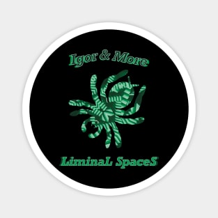 Igor & More Tarantula Liminal Stairs Green Magnet